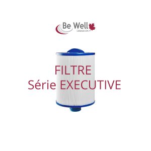Cartouche filtrante Spa Be Well Executive
